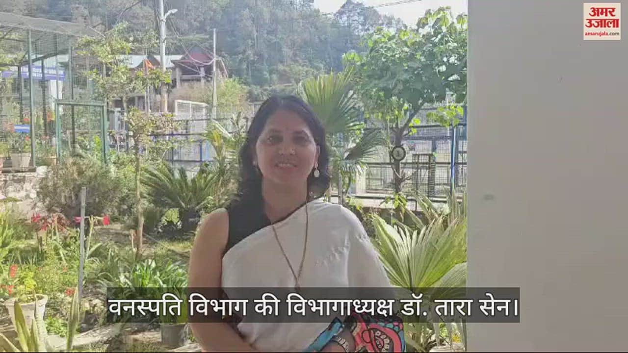 VIDEO : Students of Mandi College will get information related to nature, their abilities will get boosted