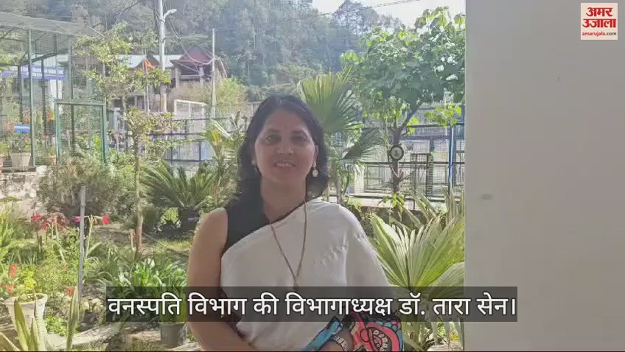 VIDEO : Students of Mandi College will get information related to nature, their abilities will get boosted
