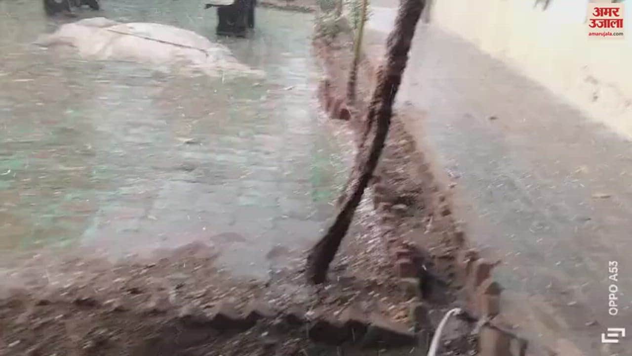 VIDEO : हरियाणा में अचानक बदला मौसम, महेंद्रगढ़ में गिरे ओले