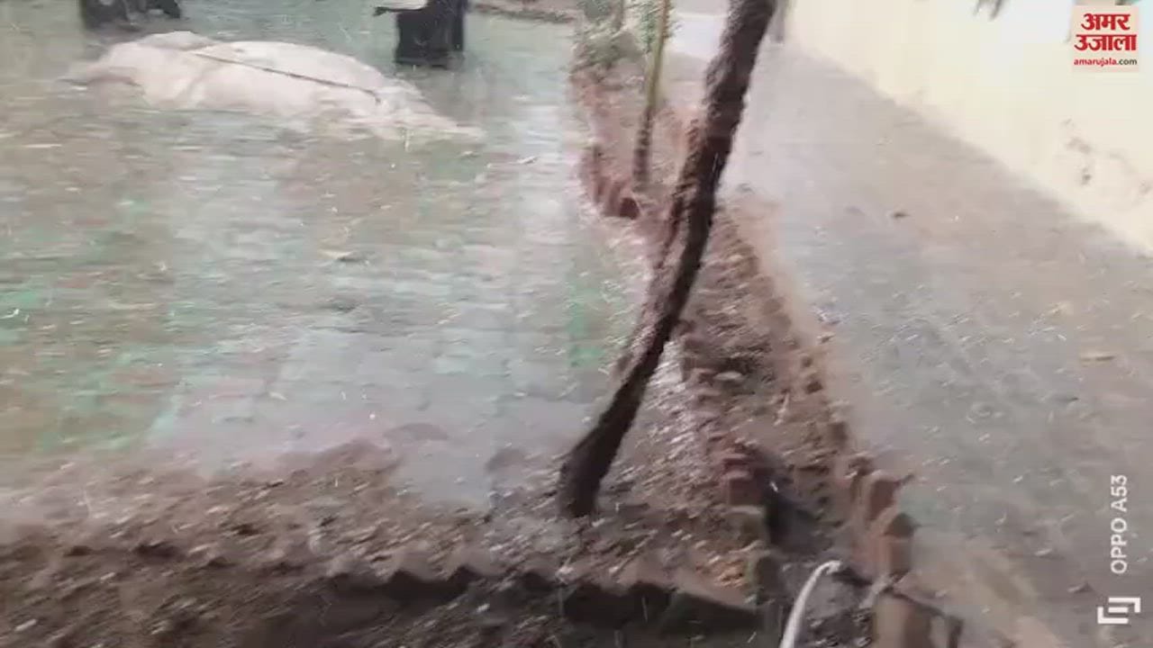 VIDEO : हरियाणा में अचानक बदला मौसम, महेंद्रगढ़ में गिरे ओले