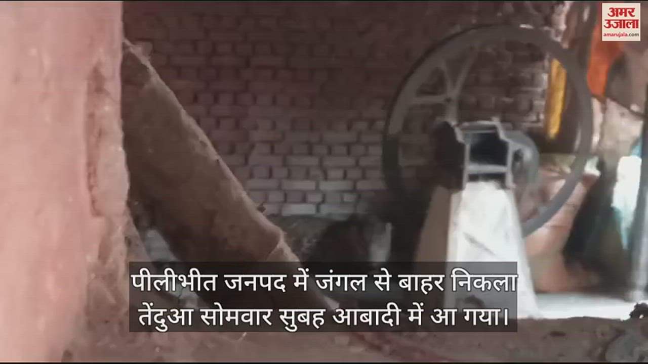 VIDEO : सुबह-सुबह घर में घुसा तेंदुआ, ग्रामीणों ने बाहर से लगा दी कुंडी, गांव में दहशत