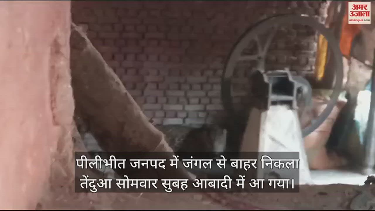 VIDEO : सुबह-सुबह घर में घुसा तेंदुआ, ग्रामीणों ने बाहर से लगा दी कुंडी, गांव में दहशत