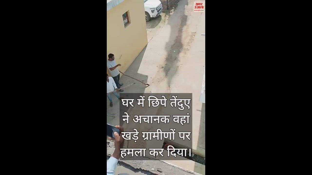 VIDEO : A leopard entered the village in Itwa area of Siddharthnagar and attacked people