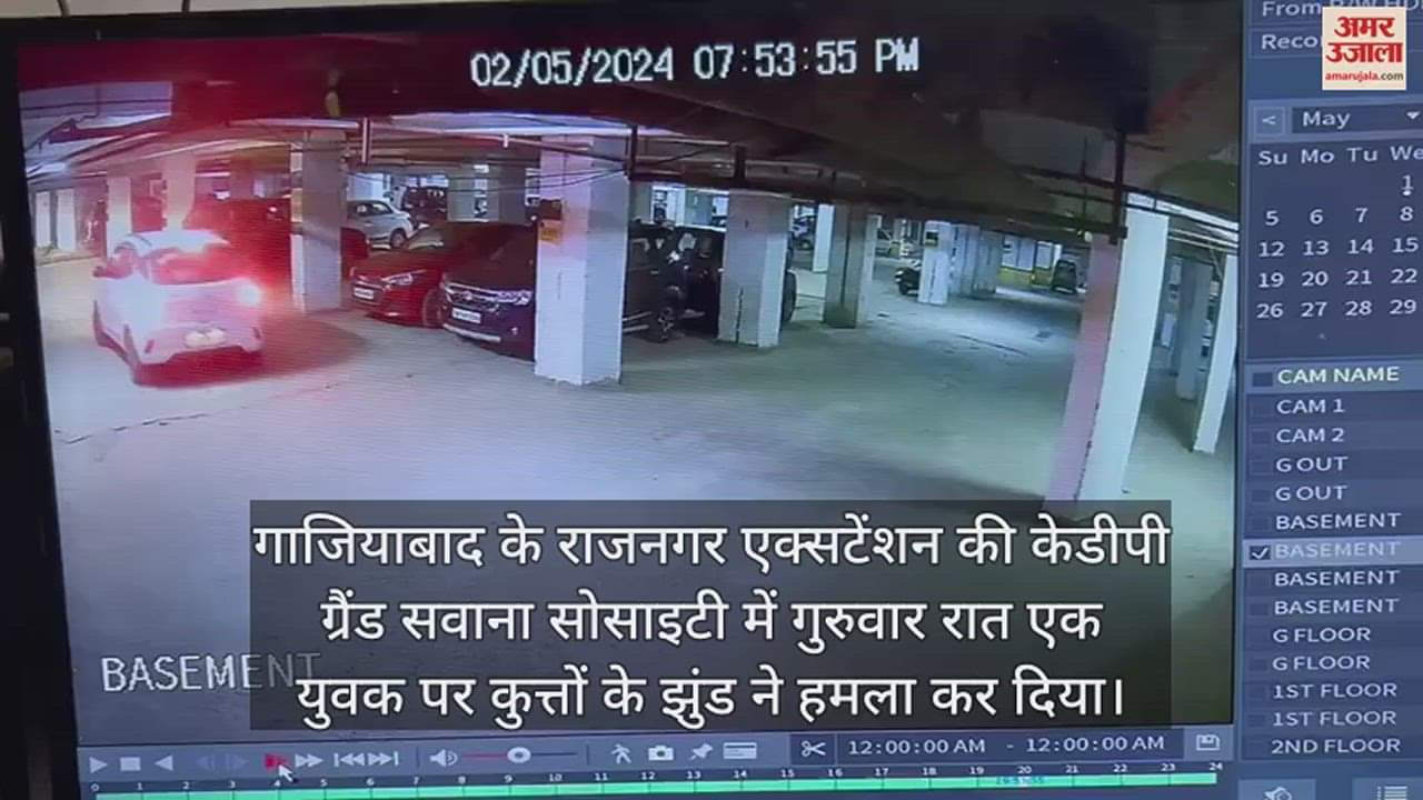 VIDEO : कैमरे में कैद हुआ हिंसक कुत्तों का हमला, पास में पड़े डंडे ने बचाई युवक की जान