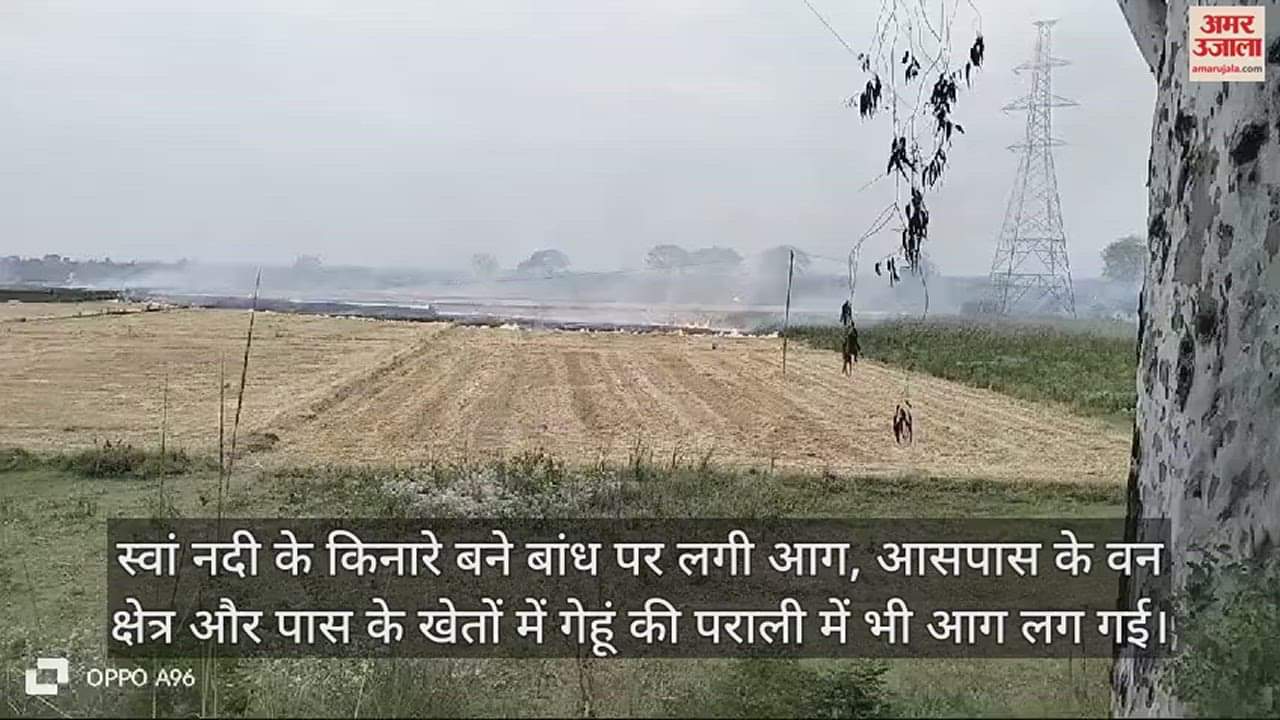VIDEO : Fire broke out in wheat straw in the forest area and fields on Tahliwal Santoshgarh road