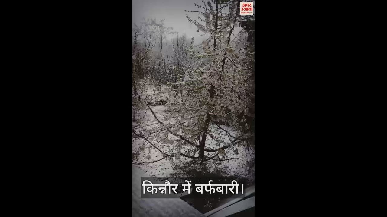 VIDEO : snowfall in Kinnaur himachal pradesh