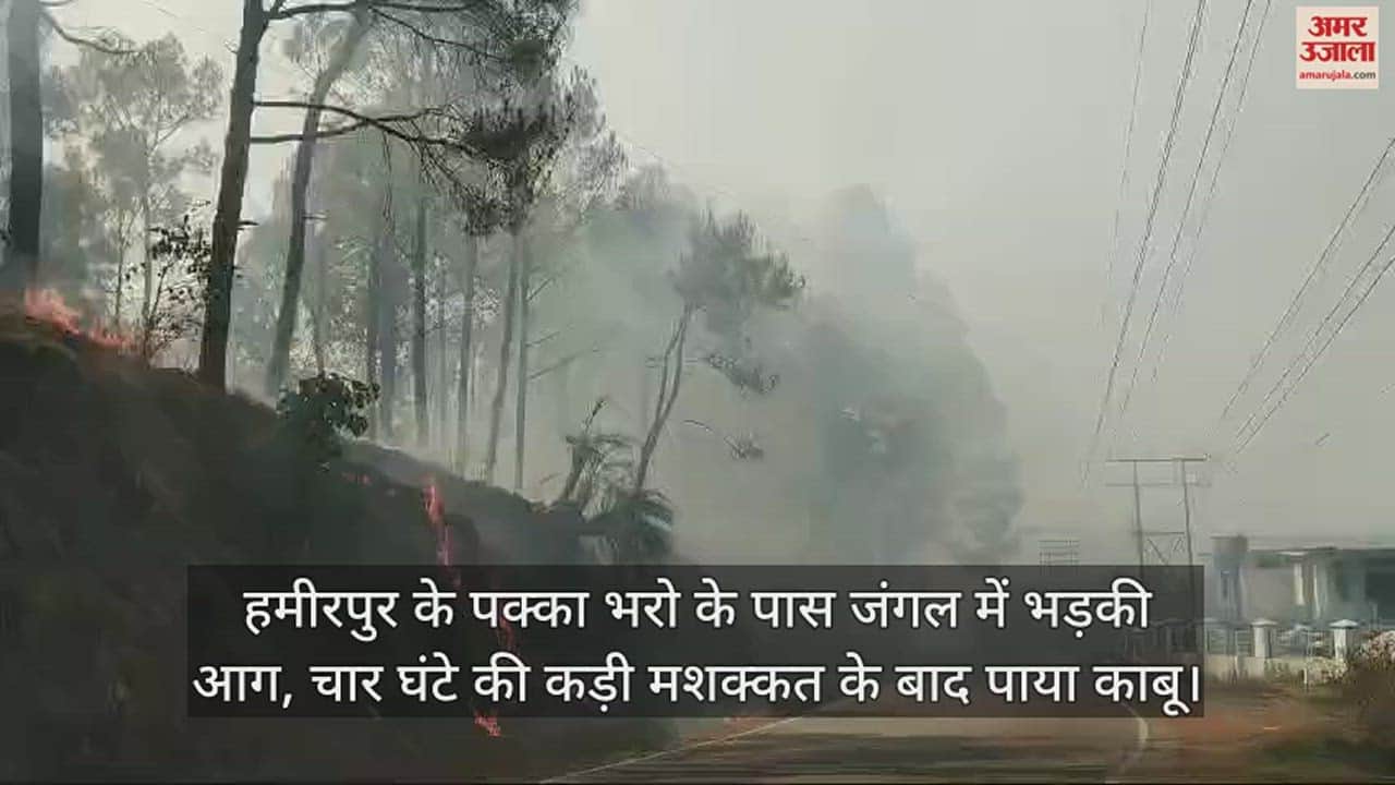 VIDEO : Fire broke out in the forest near Pakka Bharo of Hamirpur