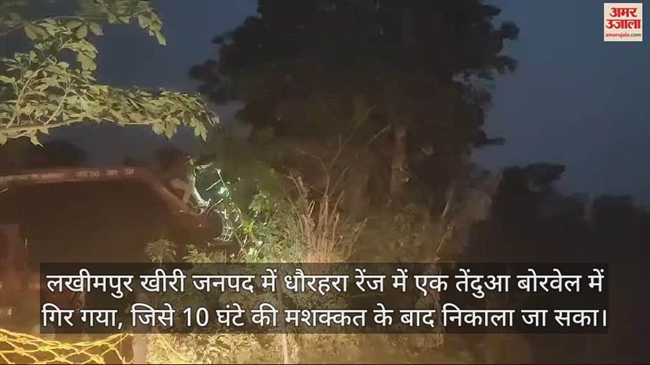 VIDEO : बोरवेल में गिरा तेंदुआ... 10 घंटे तक चला रेस्क्यू, फिर हुआ कुछ ऐसा, देखती रह गई टीम
