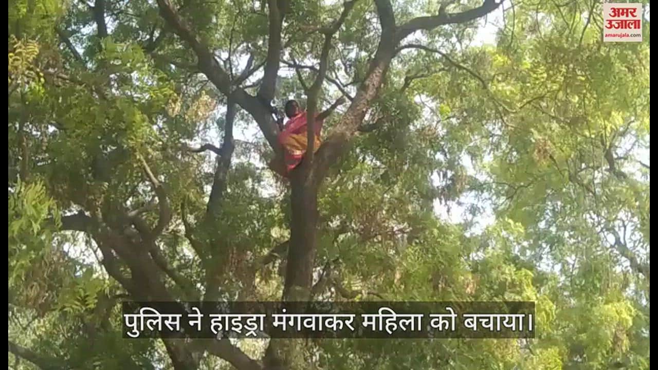 VIDEO : हरदोई में पेड़ पर चढ़ी महिला का हाईवोल्टेज ड्रामा, स्वयं सहायता समूह से नाम काटे जाने का लगाया आरोप