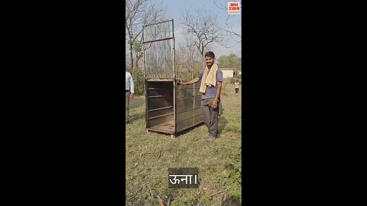 VIDEO : Una News Forest department installed cage in Sapori to catch tiger