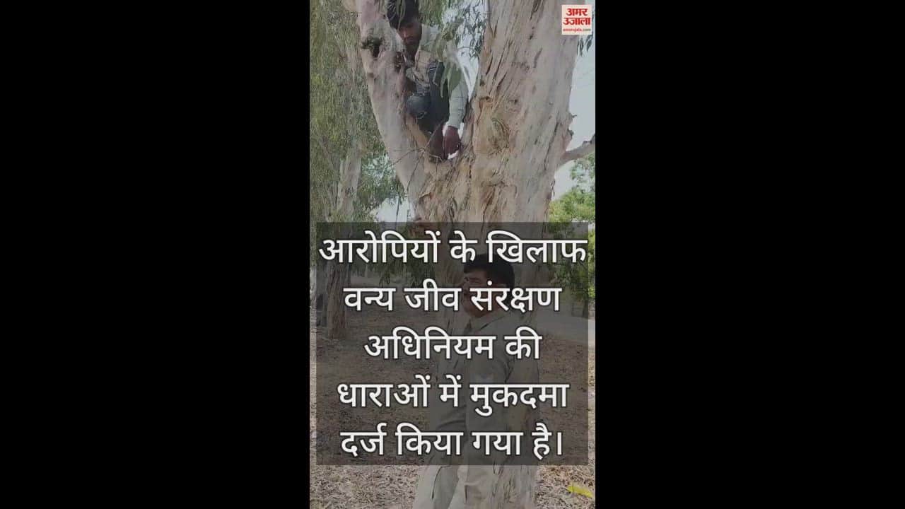 VIDEO : आगरा में पुलिसकर्मी ने परिंदों को कैद होने से बचाया, वीडियो आया सामने