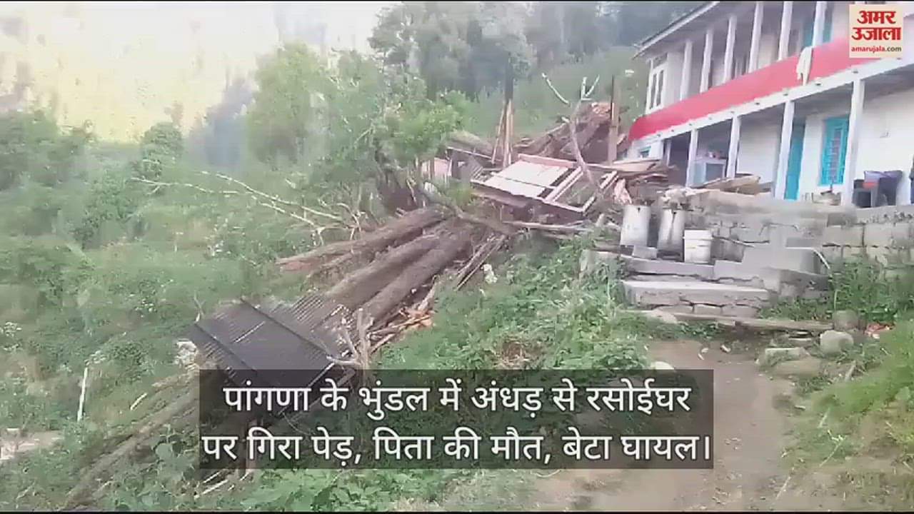 VIDEO : Father killed, son injured after tree uprooted on kitchen due to storm