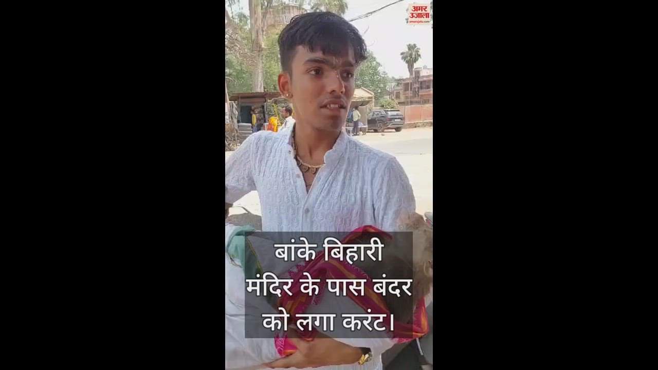 VIDEO : बांके बिहारी मंदिर के पास करंट से झुलसे बंदर की जान बचाने के लिए दो किमी दौड़ा युवक