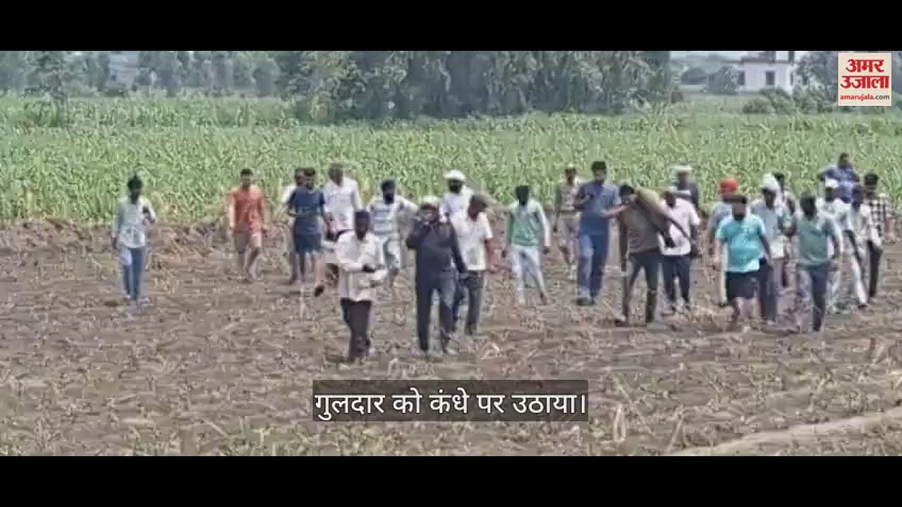 टीवी कलाकार ने कंधे पर उठाया गुलदार।