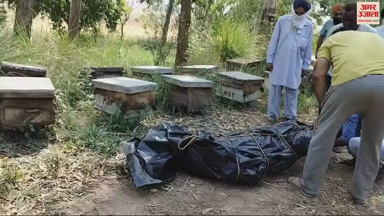 Dead body of transporter missing for six days in Ambala found in SYL canal