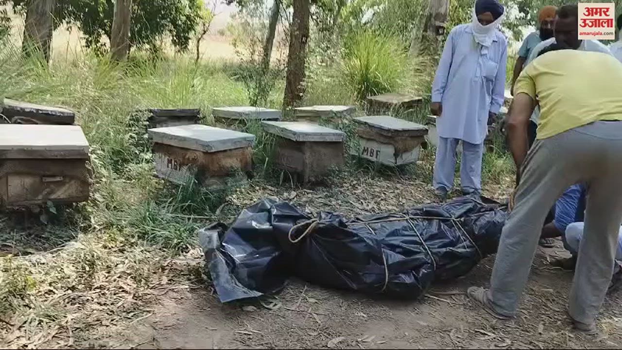 Dead body of transporter missing for six days in Ambala found in SYL canal