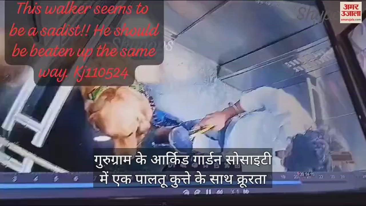 VIDEO : Viral Video Cruelty To Pet Dog In Lift In Gurugram Walker Beat Him Badly