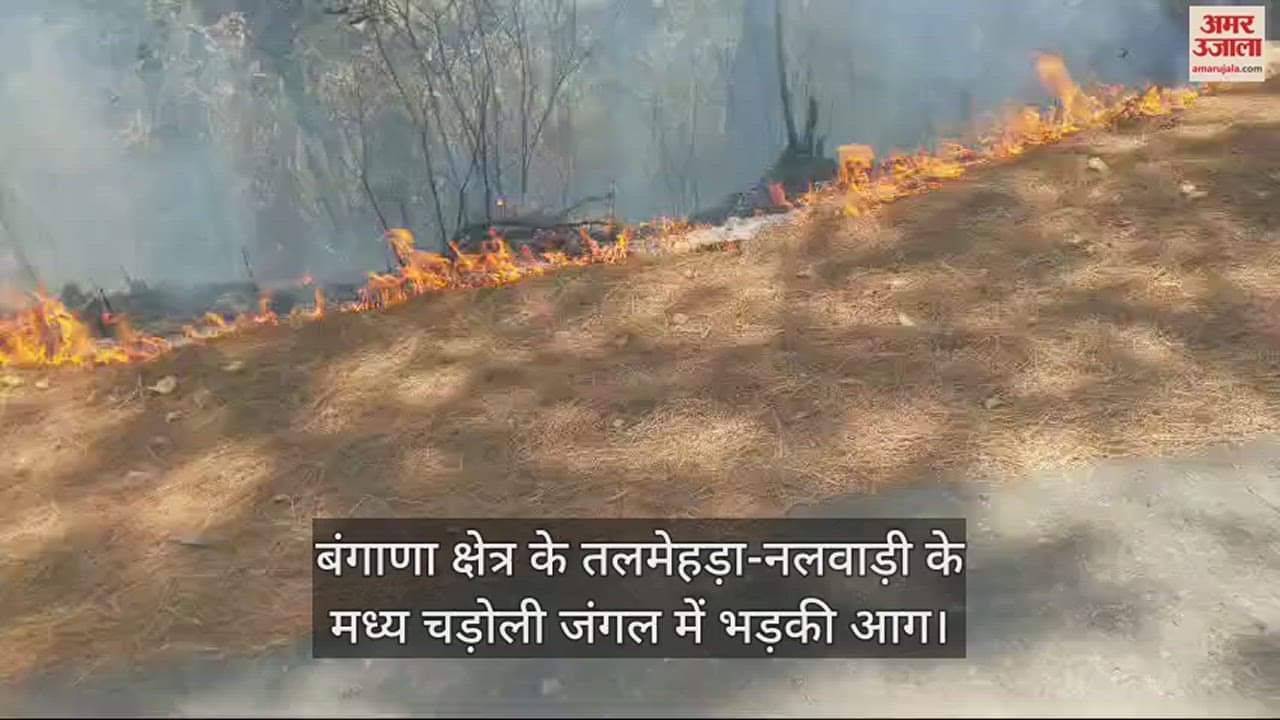 VIDEO : Fire broke out in Chadoli forest between Talmehra-Nalwadi of Bangana area.