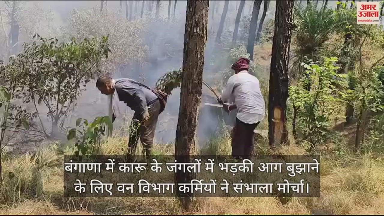 VIDEO : Fire broke out in Karu forests in Bangana, forest department personnel took charge