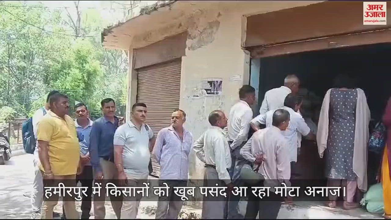 VIDEO : Farmers in Hamirpur are liking coarse grains a lot, people flocked to agricultural sales centers for seeds