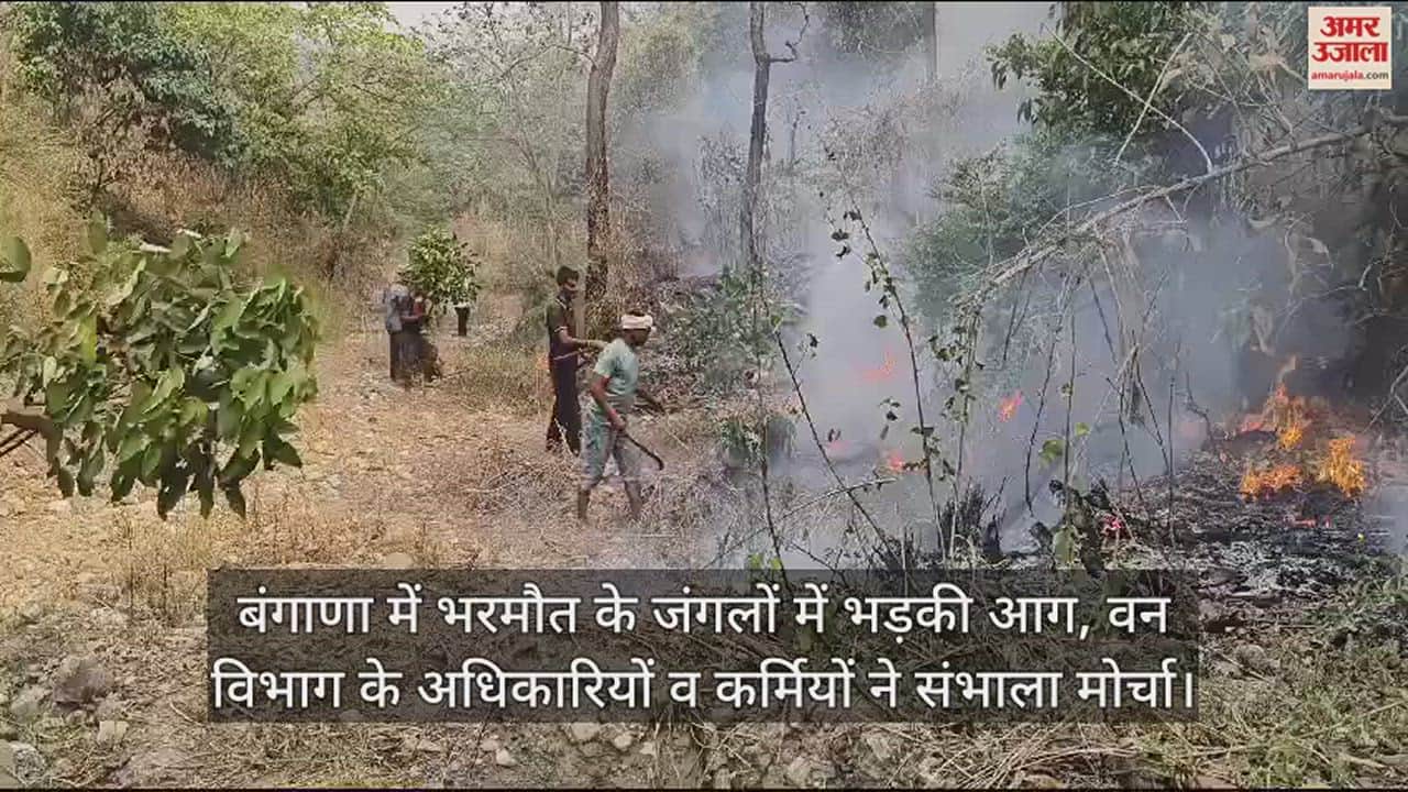 VIDEO : Fire broke out in the forests of Bangana region, forest department officials and workers took charge