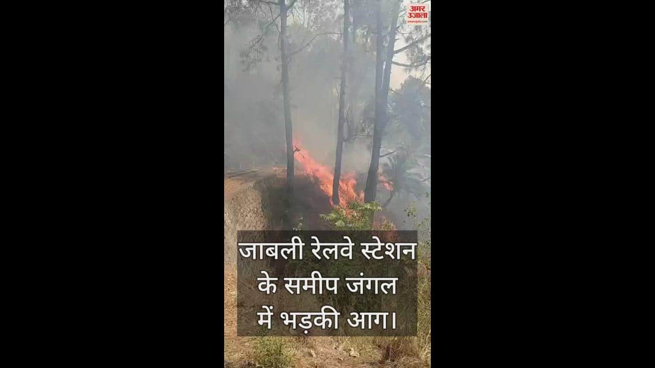 VIDEO : forest Fire broke out near Jabli on the Kalka-Shimla railway line,