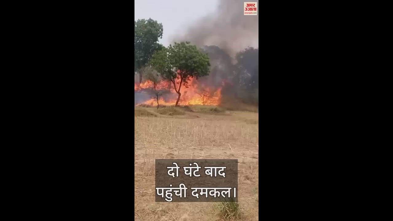VIDEO : बांदा में वन विभाग के जंगल में लगी भीषण आग, दमकल ने पाया काबू