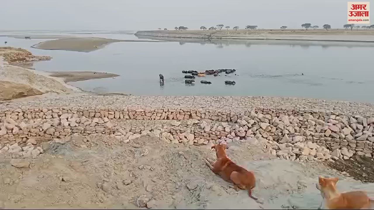 VIDEO : three youths drowning Saryu river in ballia one was saved two died