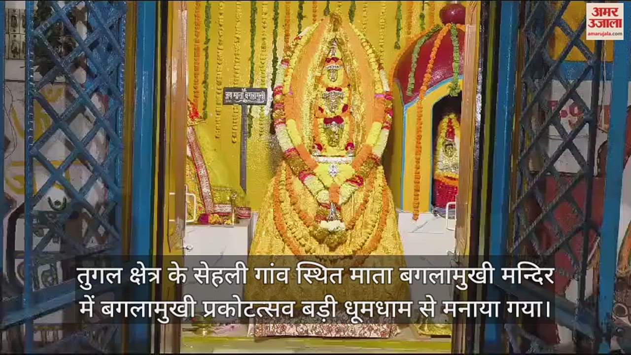VIDEO : Baglamukhi festival celebrated with great pomp in Mandi Baglamukhi temple Sahli