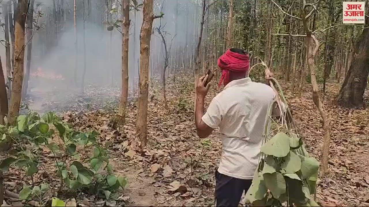 VIDEO : सागौन के प्लांट में लगी आग, संसाधनों की कमी से बढ़ रही मुसीबत
