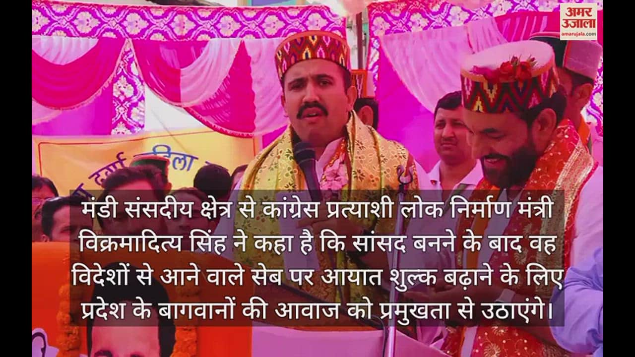 VIDEO : Vikramaditya Singh said after becoming MP he will raise his voice to increase the import duty on apples coming from abroad