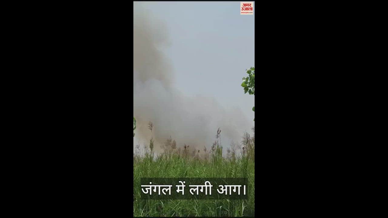 जंगल में भयंकर आग