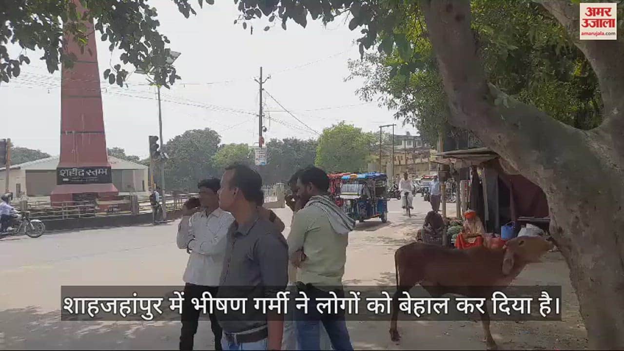 VIDEO : शाहजहांपुर में भीषण गर्मी से लोग बेहाल, चिलचिलाती धूप में छांव तलाशते नजर आए