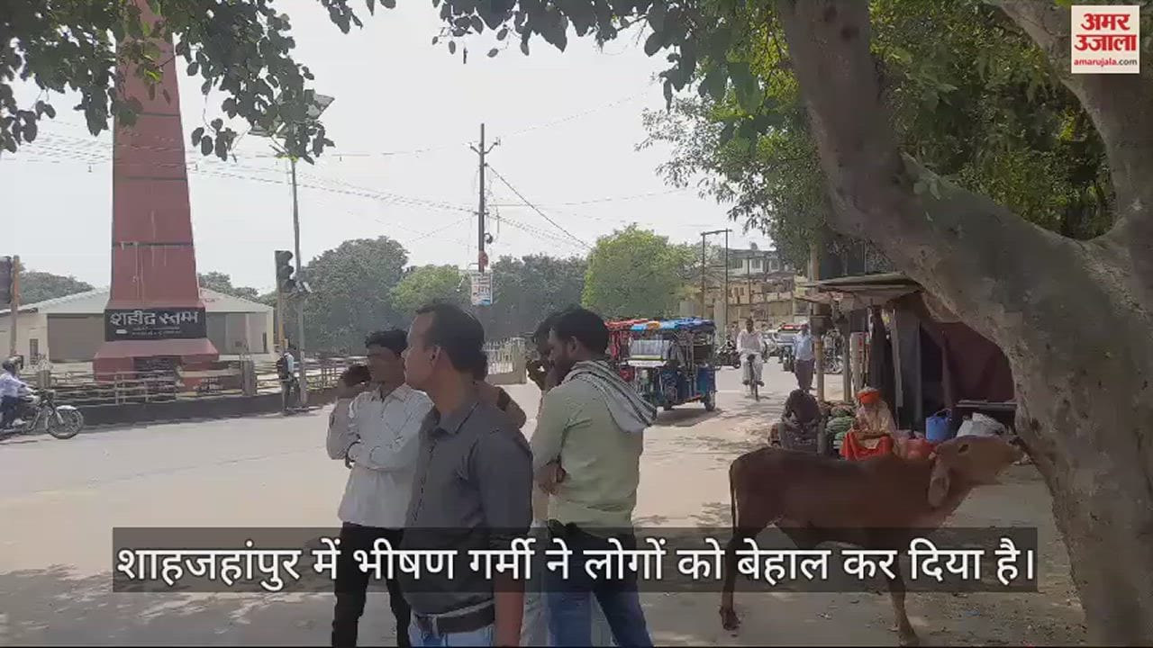 VIDEO : शाहजहांपुर में भीषण गर्मी से लोग बेहाल, चिलचिलाती धूप में छांव तलाशते नजर आए