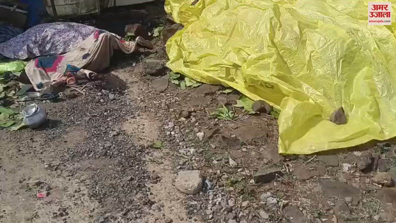 VIDEO : 30 फीट गहरी खाई में गिरी पिकअप, तेंदुपत्ता तोड़ने गए 15 लोगों की मौत; देखें वीडियो