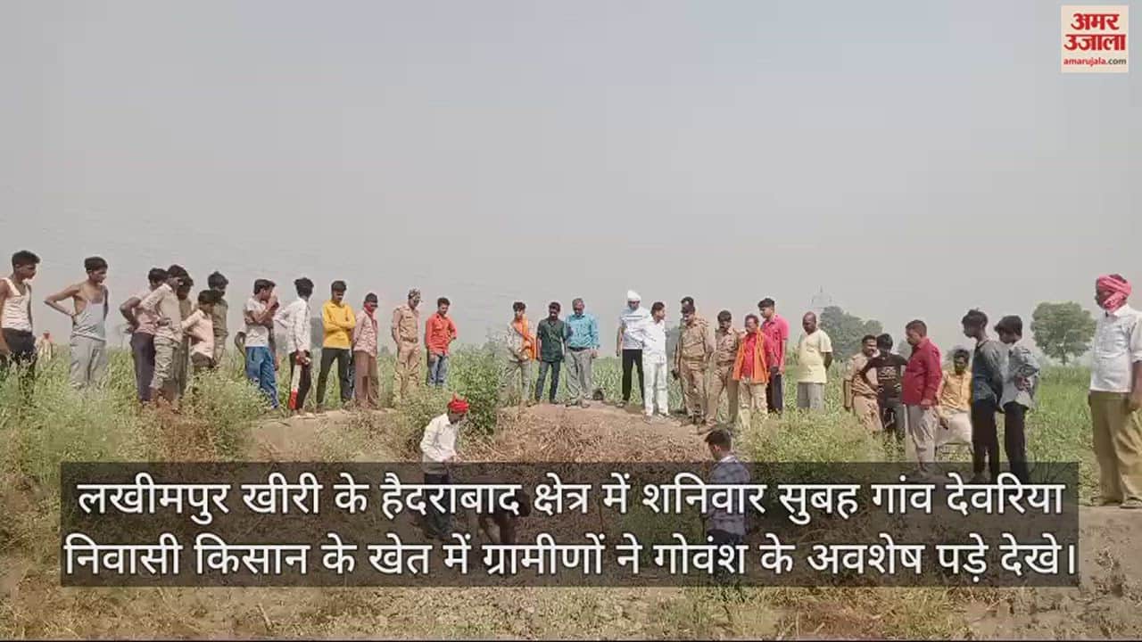 VIDEO : खेत में गोवंश के अवशेष मिलने पर हंगामा, सीओ ने किया घटनास्थल का निरीक्षण, अज्ञात पर रिपोर्ट