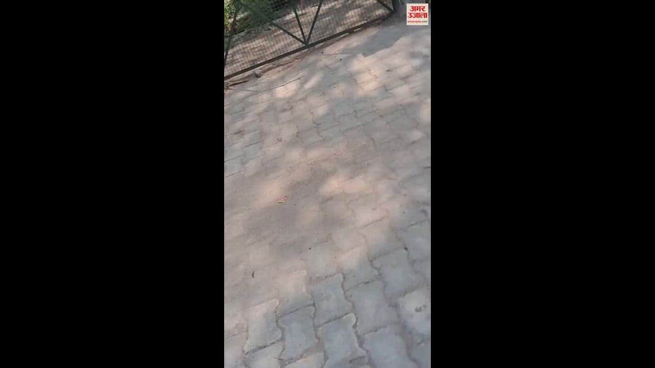 VIDEO : मैलानी थाना परिसर से काटे पेड़, एसओ बोले- आंधी में गिरने की थी आशंका; सीओ करेंगे जांच