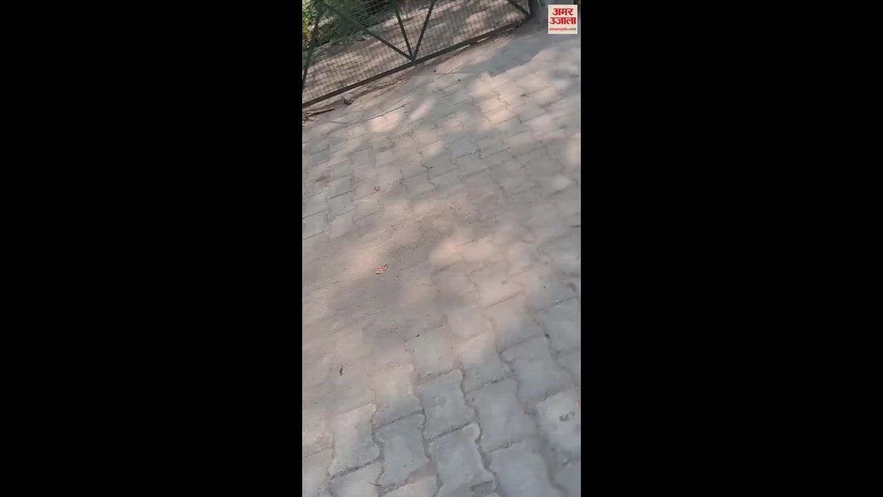 VIDEO : मैलानी थाना परिसर से काटे पेड़, एसओ बोले- आंधी में गिरने की थी आशंका; सीओ करेंगे जांच