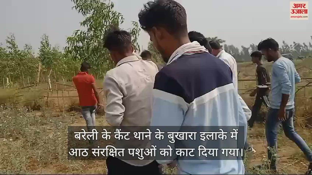 VIDEO : बरेली के बुखारा इलाके में गोकशी, आठ पशुओं के अवशेष मिले