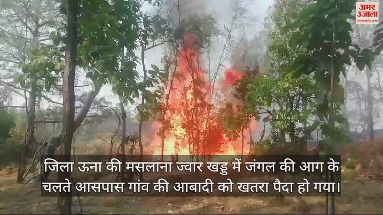 VIDEO : Massive fire breaks out in Una Masalana Jowar ravine