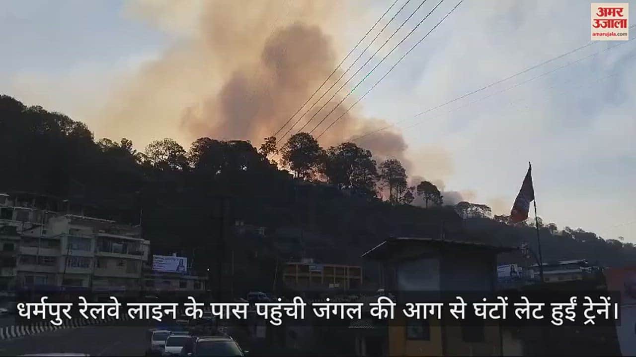 VIDEO : forest fire reached near Dharampur railway line, trains were delayed for several hours
