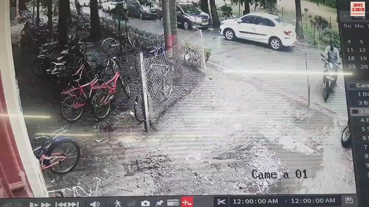 VIDEO : Tree fell in BHU campus student got injured chaos ensued