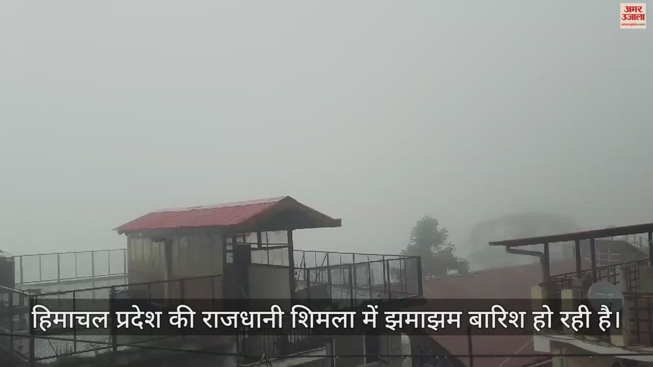 VIDEO : Himachal Weather Heavy rain in Shimla weather became cool