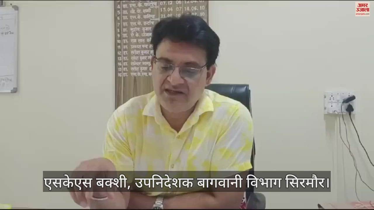 VIDEO : Guava plants will flourish on 4 thousand hectares of land in Sirmaur guava will become the identity