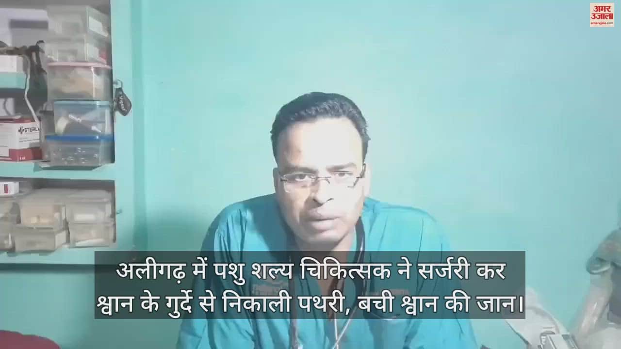 VIDEO : अलीगढ़ में पशु शल्य चिकित्सक ने सर्जरी कर श्वान के गुर्दे से निकाली पथरी, बची श्वान की जान