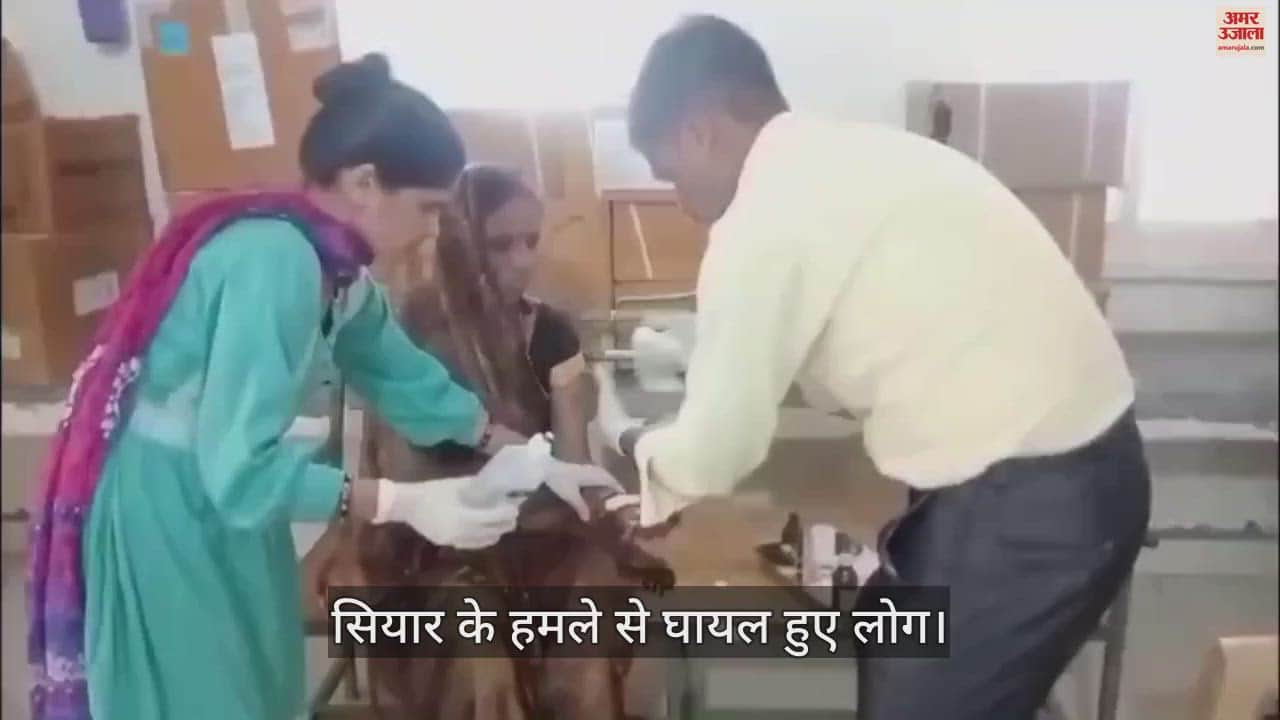 Jackal terror in Mayana of Guna district, has attacked 9 people, children are not able to go to school