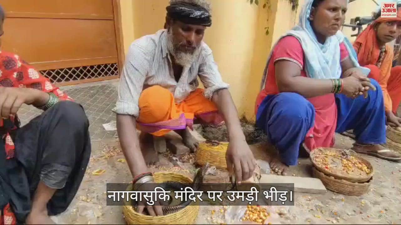 VIDEO : Lord Nagvasuki was worshipped on Nagpanchami, crowd of devotees gathered to offer milk and lava