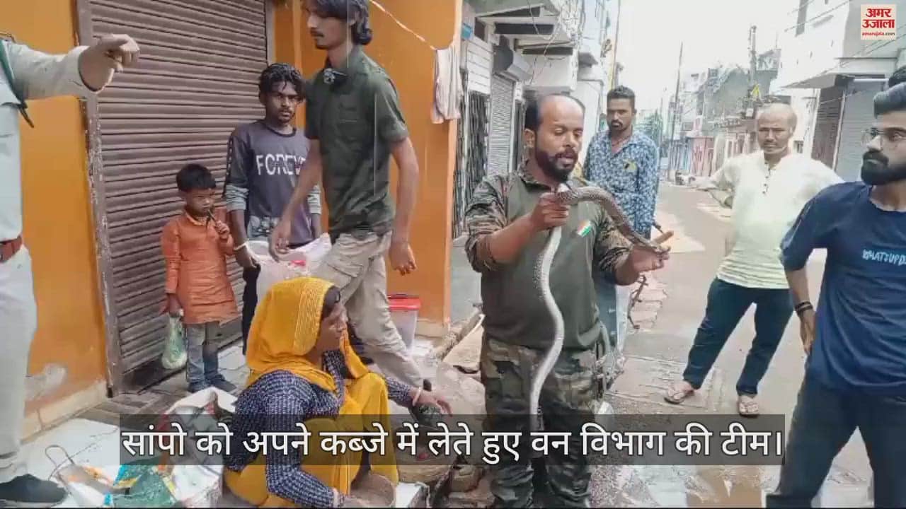 Guna Forest Department Against Snake Charmers 14 Rescued