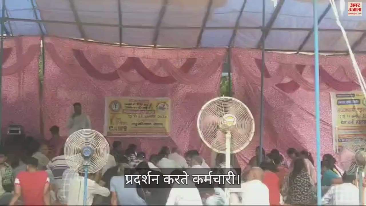 VIDEO : Rohtak clerks strike continues for second day, property tax files stuck