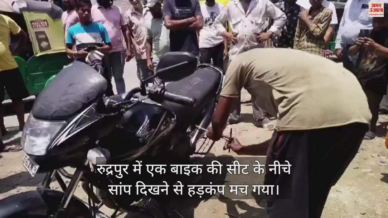 VIDEO : बाइक में सांप को देख सबके उड़े होश, सीट के नीचे छिपा था...फिर बीच सड़क ऐसे किया गया रेस्क्यू